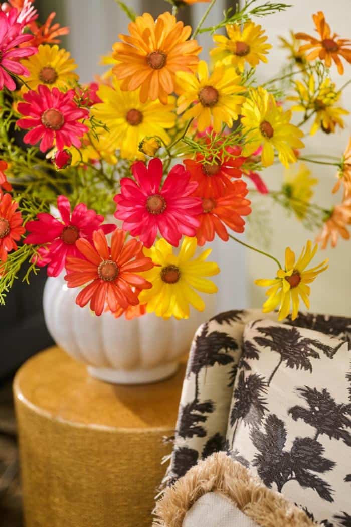 Cute vase display of bright daisies ideal to purchase for your home